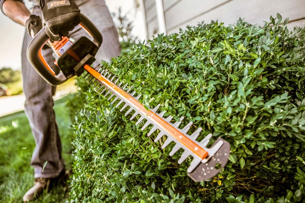 Heckenschere im Einsatz an einer formgeschnittenen Hecke